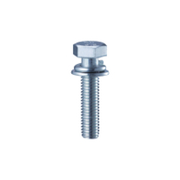 Combination Screw